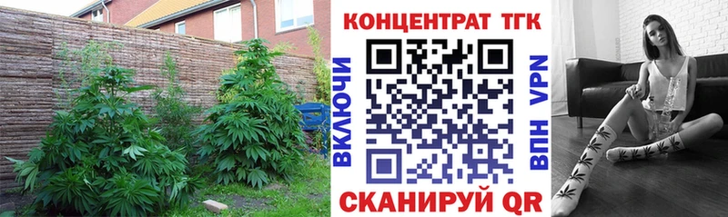ТГК вейп с тгк  Рудня 