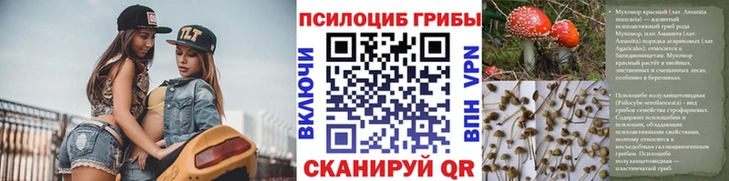 Псилоцибиновые грибы Magic Shrooms  Рудня 