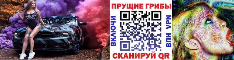 Псилоцибиновые грибы Psilocybine cubensis Рудня